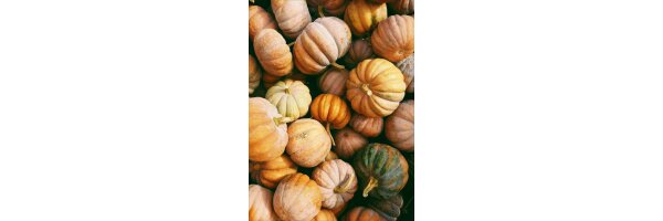 Kürbiszauber im Herbst