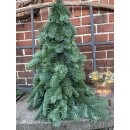 Tannenbaum aus Nobilistanne ca.60 cm -Naturdeko - Winter...