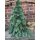 Tannenbaum aus Nobilistanne ca.60 cm -Naturdeko - Winter -, Advents- und Weihnachtsdeko