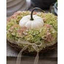 Baby Boo Kürbis ~ kleiner weißer Lieblings-Kürbis ~ frisch vom eigenen Feld ~ zauberhafte Herbstdeko