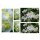 Duftender Bauernjasmin 60/100  ~ Pfeifenstrauch~ weiße Blütenwolken mit Duft