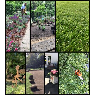 Gartenpflege - Hecken- und Baumpflege -Heckenschnitt