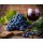 Weinrebe Moldova – Weintraube im 3 Liter XL Topf 80/100cm ~ große dunkelblaue Trauben & süßes Aroma bis in den Herbst. Gesund