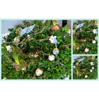 Frischer Türkranz /Tischkranz Buxus 35 cm - Frühling~ frische Frühlingsdeko