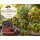 Naschgarten Paket ~ Terrasse, kleine Gärten – 8 Beerenpflanzen zum Naschen~Himbeere, Brombeere, Heidelbeeren & Monatserdbeeren-Kübelgeeignet