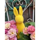 Primel- zauberhafte gefüllt-gerüschte Blüte im romantischen Apricot- im Topf knospig/blühend ~ Frühlingsflowers~ Homedeko~ nostagie-romantik