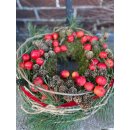 Winterlicher Apfelkranz mit Moos - ca. 30 cm - Winterdeko...