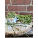 Kiefernadeln geschnitten ~ Bund ~ tolle winterliche...