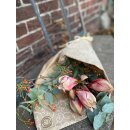 Amaryllis zweifarbige Blüte -3 Stück ~ rot, weiß  und Eucalypthus und Hagebuttenzweig