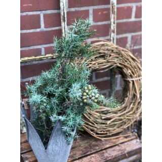 Wacholder frisch mit feinen Duft ~Bund ~ frische Winterdeko~ frische Zweige