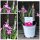 Sternchengras in Pink ~ Indoor & Outdoor ~ Frische Blumen Top