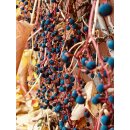 Parthenocissus Veitchii 60/100 -wilder Wein- Wandkleid...