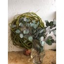 Eukalyptus Populus ein schönes Bund~ Frische Eukalyptus Deko ~ frisch & duftig ~ Dekotipp