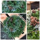 Winterkranz ca. 40 cm aus Silberzypresse ~ Winterdeko ~...