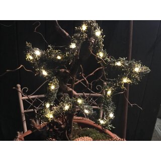 Lichter Stern ca 30cm ~ aus Duftiger ital. Zypresse - Arizonika ~ mit Led -Lichterkette ~Winterlich