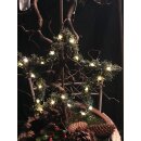 Lichter Stern ca 30cm ~ aus Duftiger ital. Zypresse - Arizonika ~ mit Led -Lichterkette ~Winterlich