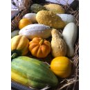 Deko Kürbisse Set – Herbstdeko Mix 3...