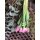 Frischer Tulpenstrauß Do it Yourself ~ 10 gefülteTulpen, Eukalyptus, Heidelbeere~ Blumendeko für die Vase , Geschenkidee
