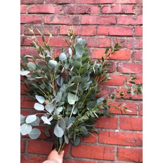 Eukalyptus Mix im Bund mit verschiedenen Blattformen und Sorten ~ Duftige Schnittblumen & Naturdeko ~ Frischer Eukalyptus für Vase, Kränze & Gestecke