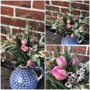 Tulpen Strauß Tina ~ üppig gebundenes 15er...