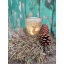 Euphorbia spinosa Kranz mit Windlicht Winterlicht- ca...