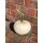 Kürbisse Kürbis Snowball~ Herbstdeko ~beliebter Herbstzauber