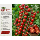 Tomate Ruby Fizz-Tomatenjungpflanze im Topf -...