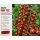 Tomate Ruby Fizz-Tomatenjungpflanze im Topf - Süß-aromatische Gourmet-Kirschtomate mit Suchtpotential