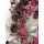 Herbst Beauty Hortensien Kranz ca. 25 cm ~ Herbstkranz  mit Hortensie und Co in warmen Tönen