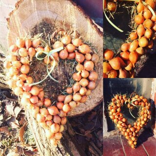 Türkranz Zwiebelherz aus Mini-Zwiebeln | ca. 22 cm..Eine kleine Frühlingsromanze für Haus & Garten