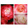 Edelrose Nostalgie -R- kräftige Qualität, im C7  Topf~ Kirschrote Duftige Rosenträume