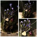 Frühlingsanemone im Mooskleid ~Frühlingsdeko -...