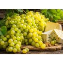 Weinrebe ~ Weintraube Arkadia ~ starke 80/100 cm im XL 3 Liter Topf ~ kernarm, pilzfest & lecker