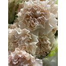 Vintage Edellnelken 10 Stk.~ Puder Rosa ~ Frische Blumendeko