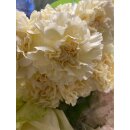 Vintage Edellnelken 10 Stk.~ zartes Creme~ Frische Blumendeko