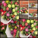 10 Bunte gefüllte Tulpen~ Frische Blumendeko...