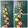 3 Stück lange Physalis Zweige voll mit Lampion bestezt ~ tolle Herbstdeko  ..Naturdeko Lampionblume