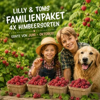 Familien-Himbeerpaket – 4 rote Himbeersorten für lange Ernte von Juni-Oktober ~ Naschen, Kuchen & Co. im 3 Liter XL Topf