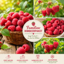 Familien-Himbeerpaket – 4 rote Himbeersorten...