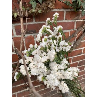 1 Bund weiße Statice „ Starl Wings “ Meerlavendel ~ Limonium ~ Frische Blumendeko ~ Flowers - DIY~ Trockenblumen