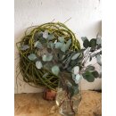 1 Bund Eucalyptus Populus~ Frische Deko ~ duftig ~ Dekotipp