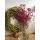 Schleierkraut Magenta Pink ~ 1 schönes Bund ~ Flowers gefärbt