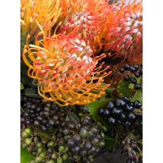3 Stück Nadelkissen in Orange - Leucospermum ~ tolle Deko für die Vase ~ frische Blumen in toller Optik und super Haltbarkeit