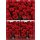 10x frische Rosen Red Naomi ~ der rote langstielige Klassiker
