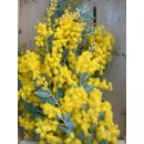 Mimose frisch im Bund ca 300g  ~sonnengelbe Ponpon Blüten, duftend- blühende Mimosen Zweige für die Vase & zum trocknen~Schnittblumen im Landhausstil