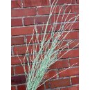 Birke ~ gefärbt Frühlingsfrisch Mint-Grün...