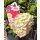 Rispenhortensie Bloody Marie -R- ~ kräftige Qualität ca 50 cm~ prunkvoller Sommerblüher.. Hortensie jetzt knospig/blühend - Neuheit