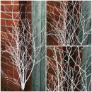 Birke ~ gefärbt weiß ~ Bund ~ tolle Deko...