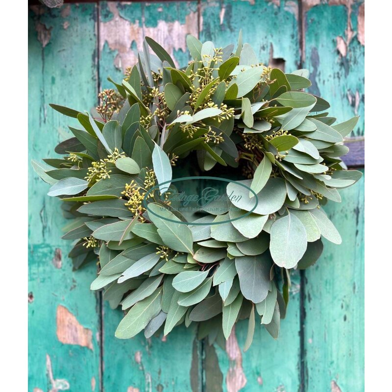 Kranz/Türkranz frisch aus Eukalyptus