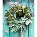 Kranz/Türkranz frisch aus Eukalyptus - Populus ~ ca 33-35cm ~wunderschöne duftige Herbstliche und Winterdeko - für Tisch oder Tür